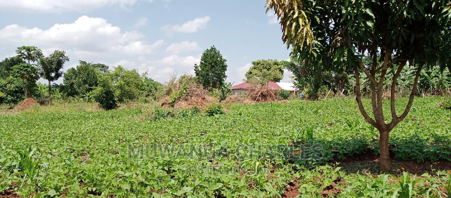 1acre Is Available for Sale in Busika in Kampala