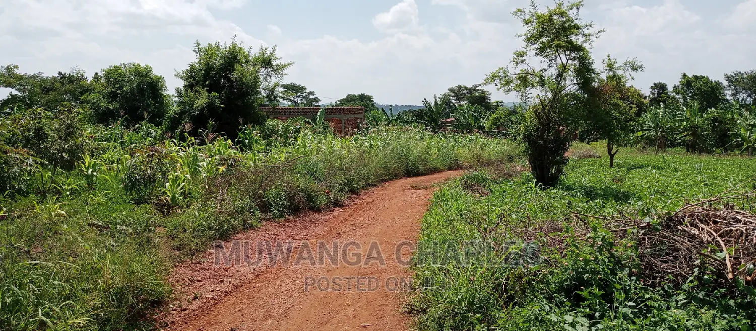 1acre Is Available for Sale in Busika in Kampala