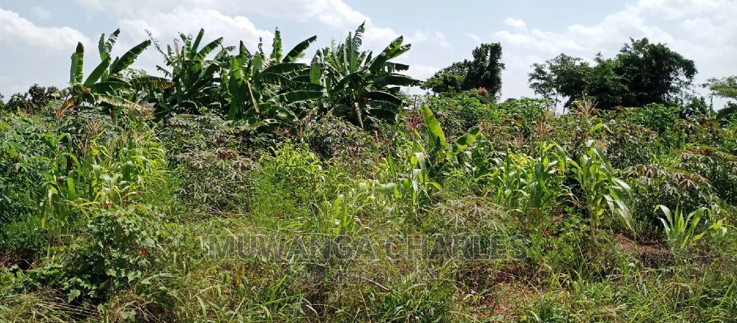 1acre Is Available for Sale in Busika in Kampala
