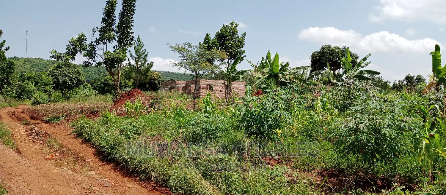 1acre Is Available for Sale in Busika in Kampala