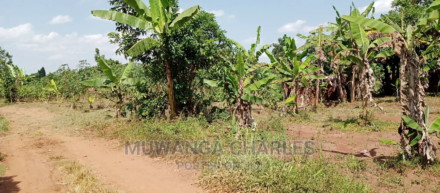 2acres Is Available for Sale in Busika Kalagala in Kampala