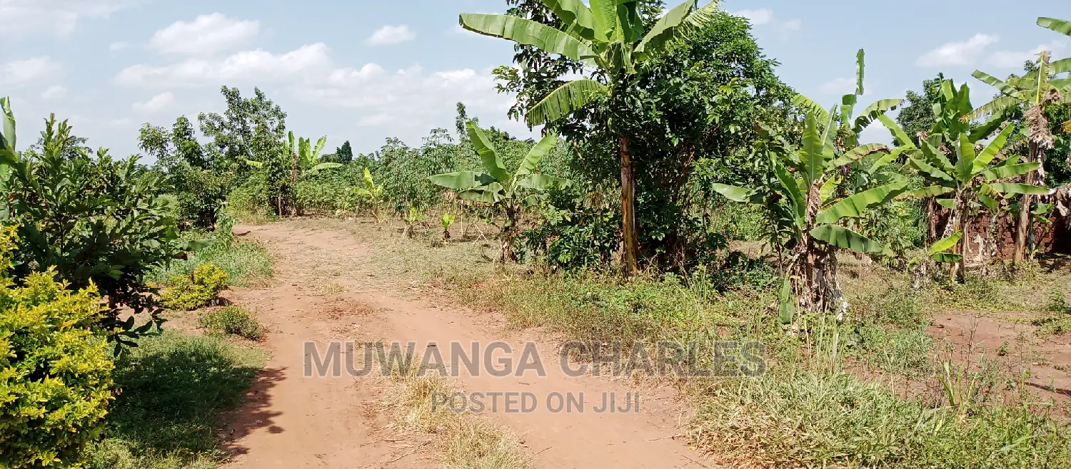 2acres Is Available for Sale in Busika Kalagala in Kampala
