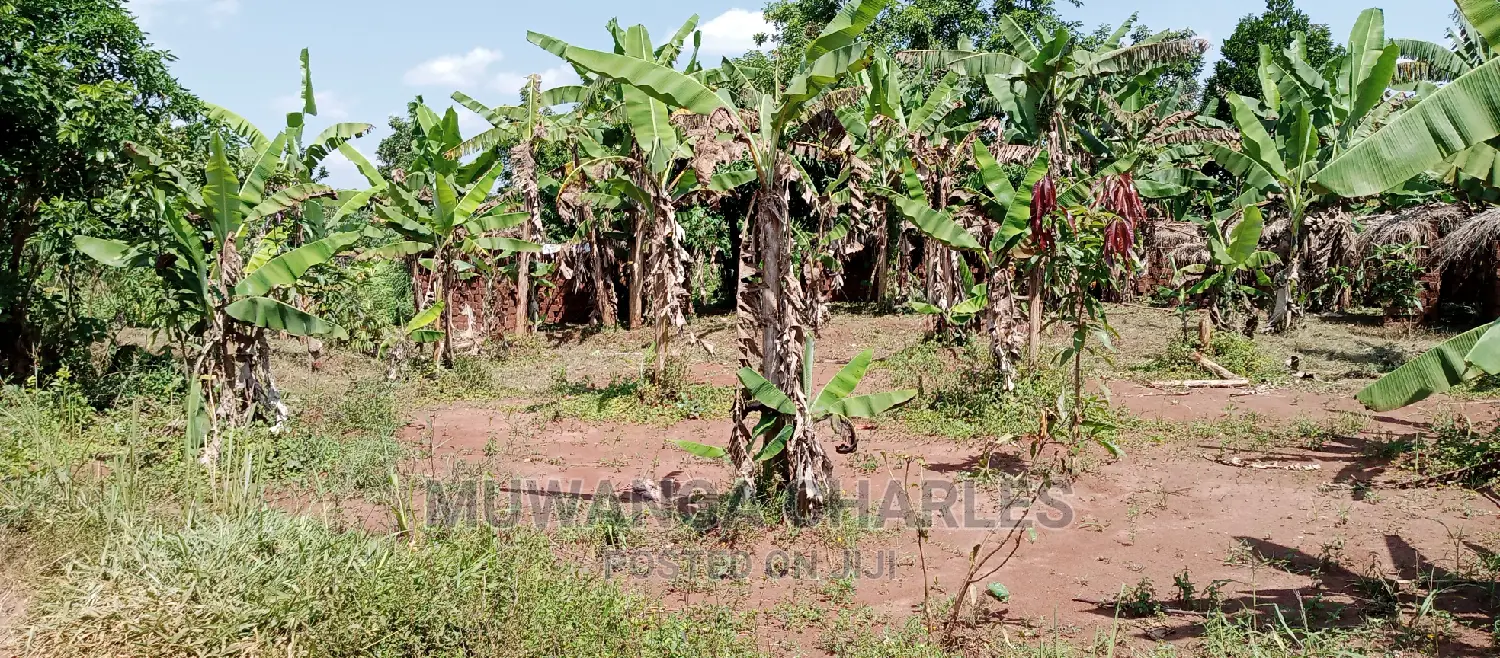 2acres Is Available for Sale in Busika Kalagala in Kampala