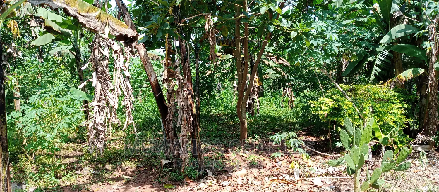 1acre Is of Land Available for Sale in Busika in Kampala