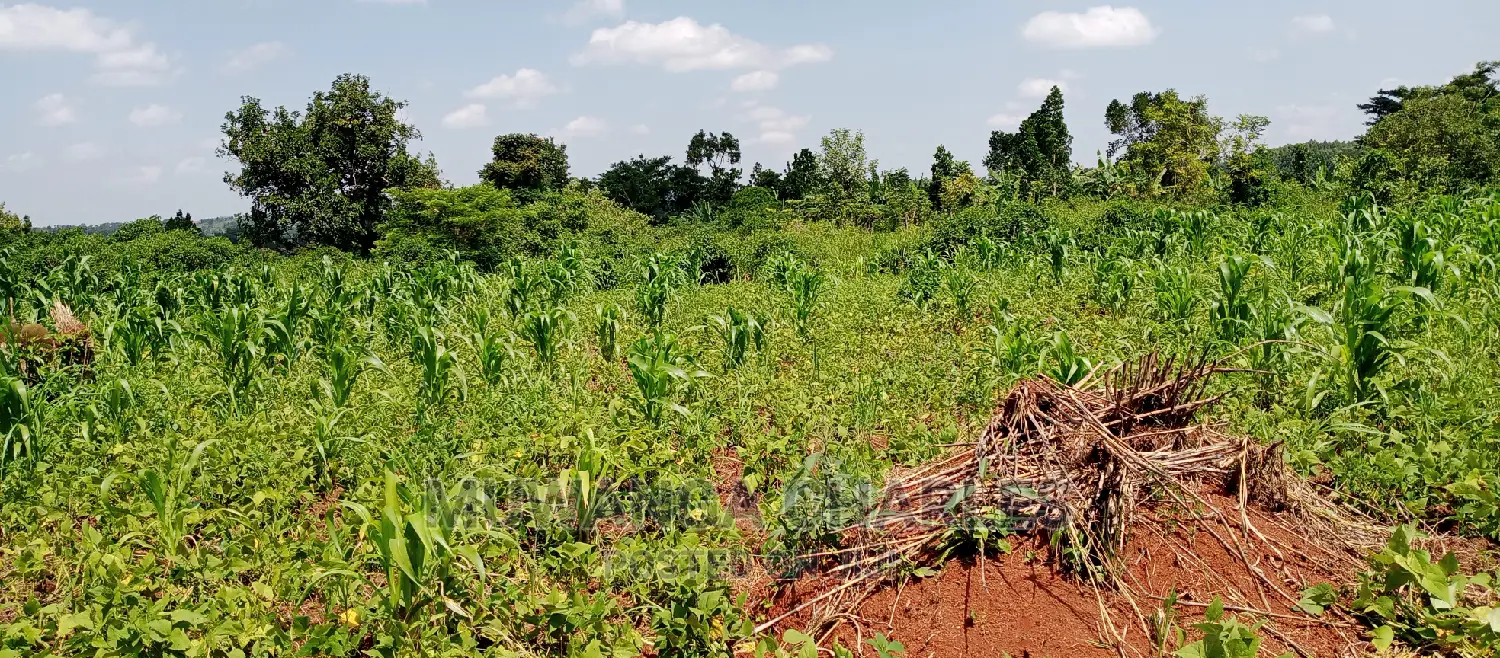 1acre Is of Land Available for Sale in Busika in Kampala