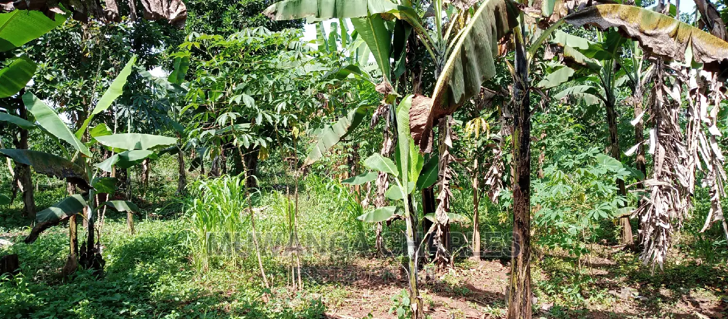 1acre Is of Land Available for Sale in Busika in Kampala