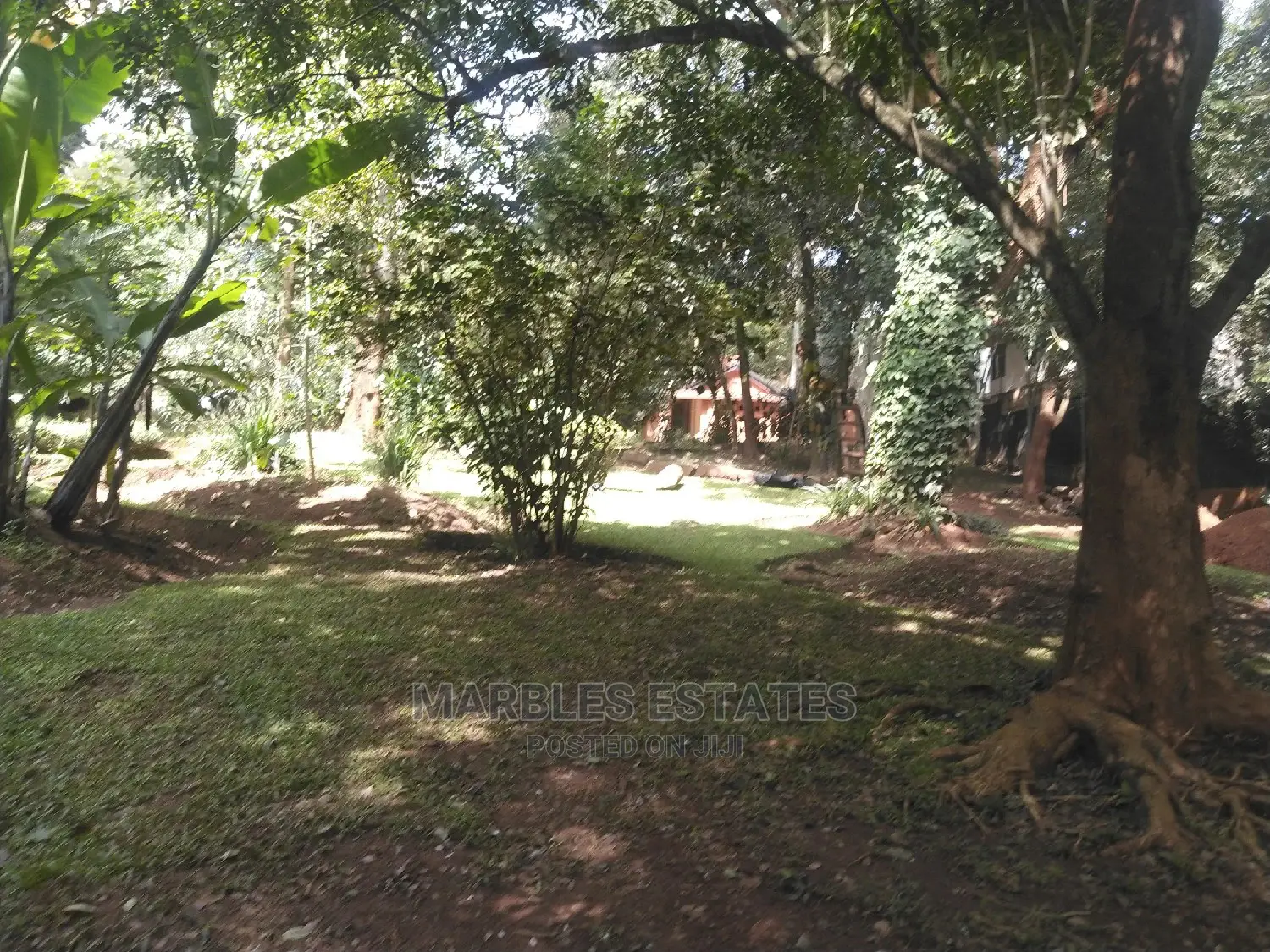 4bdrm Bungalow in Kololo, Kampala for Rent in Kampala