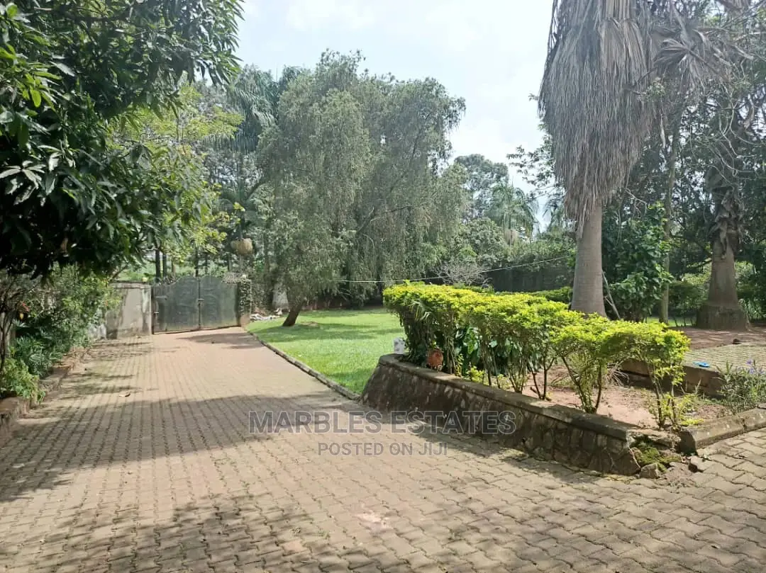 4bdrm Bungalow in Muyenga, Kampala for Rent in Kampala