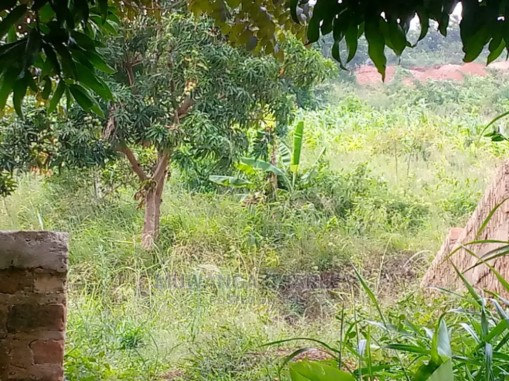 10acres of Is Available for Sale Kikyusa Kamira in Kamira