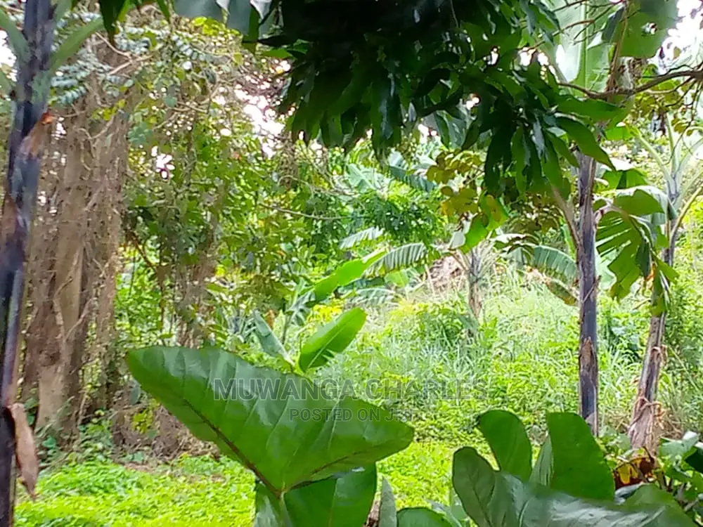 10acres of Is Available for Sale Kikyusa Kamira in Kamira
