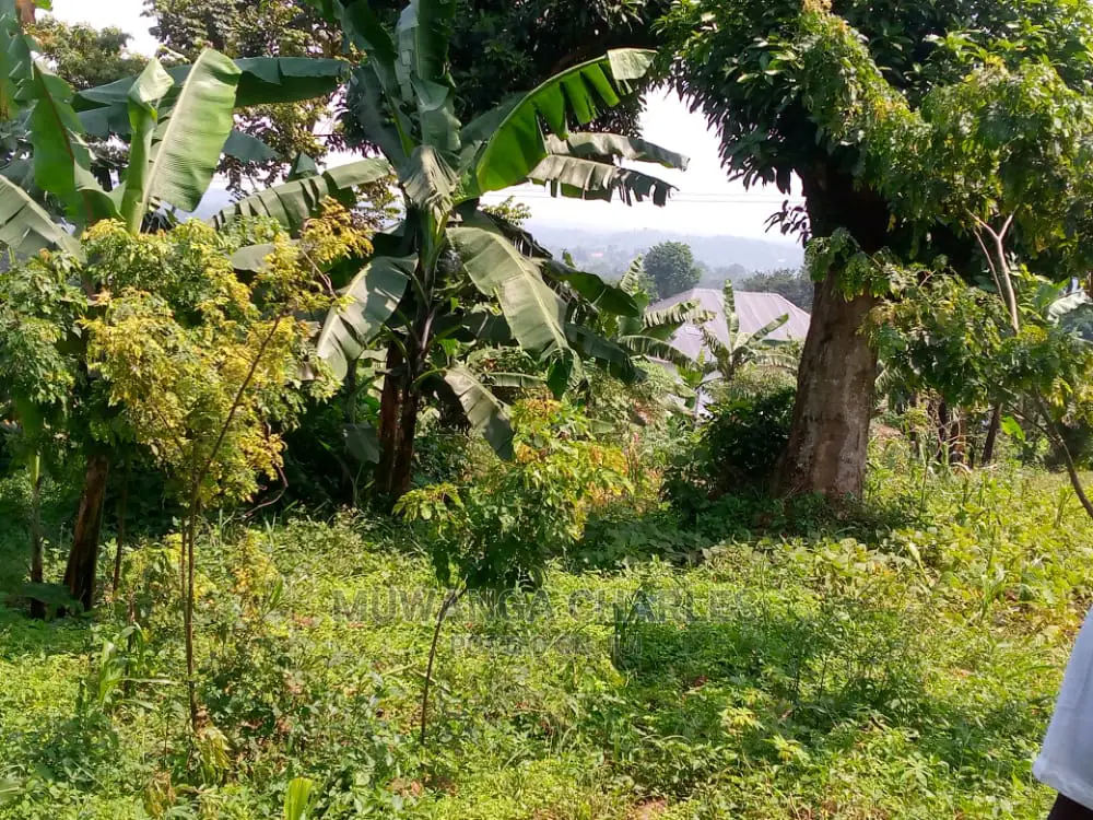 10acres of Is Available for Sale Kikyusa Kamira in Kamira