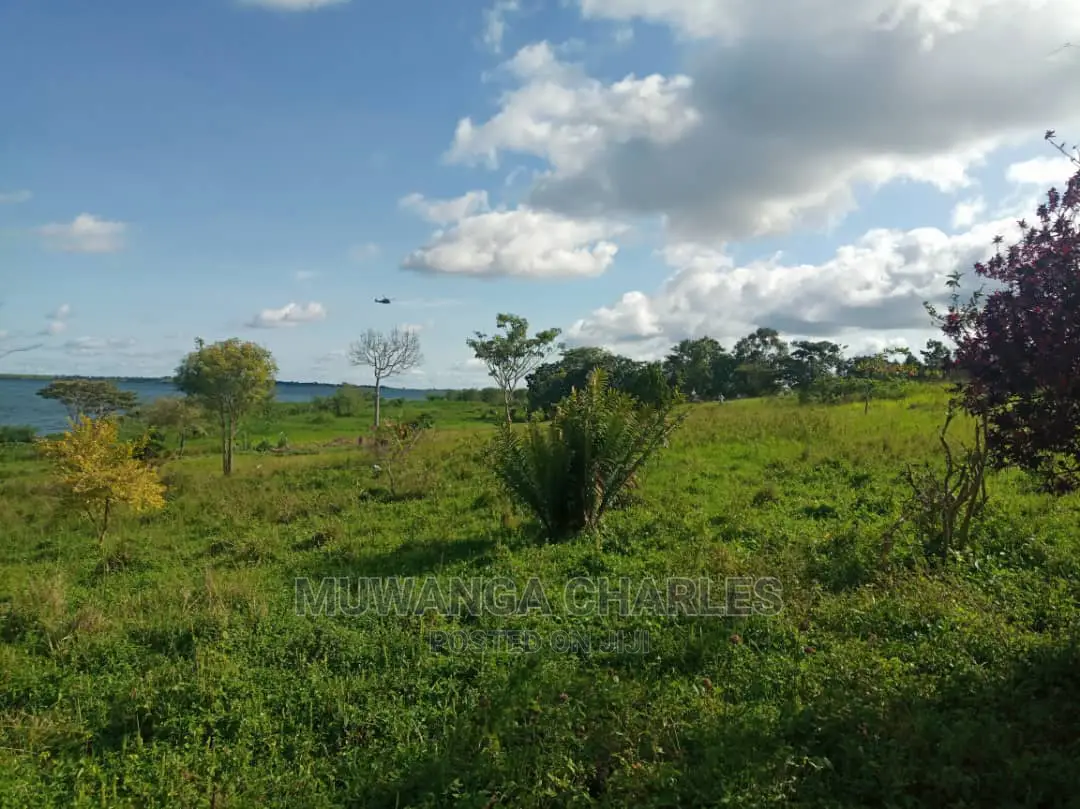 5acres Is Available in Kikyusa WTH for Sale in Kamira