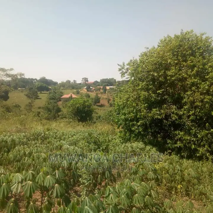 5acres Is Available in Kikyusa WTH for Sale in Kamira