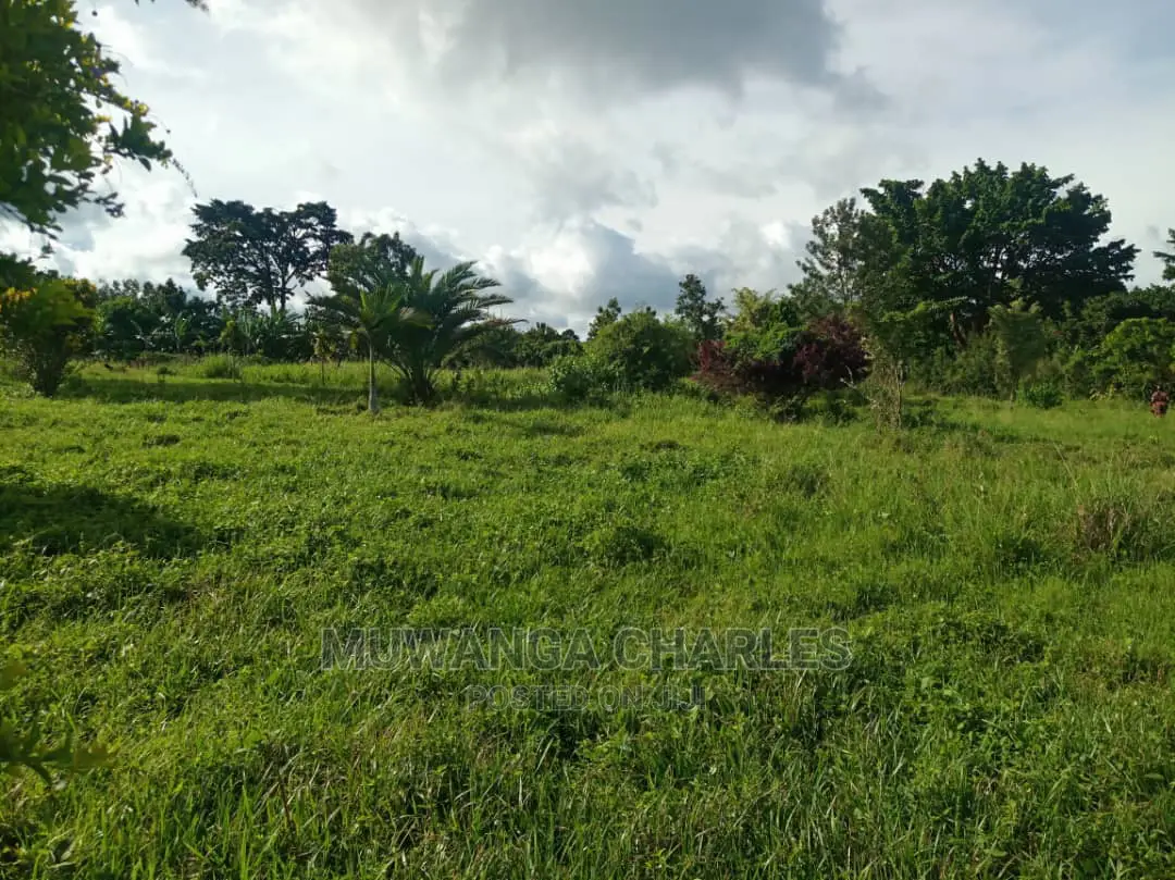 5acres Is Available in Kikyusa WTH for Sale in Kamira