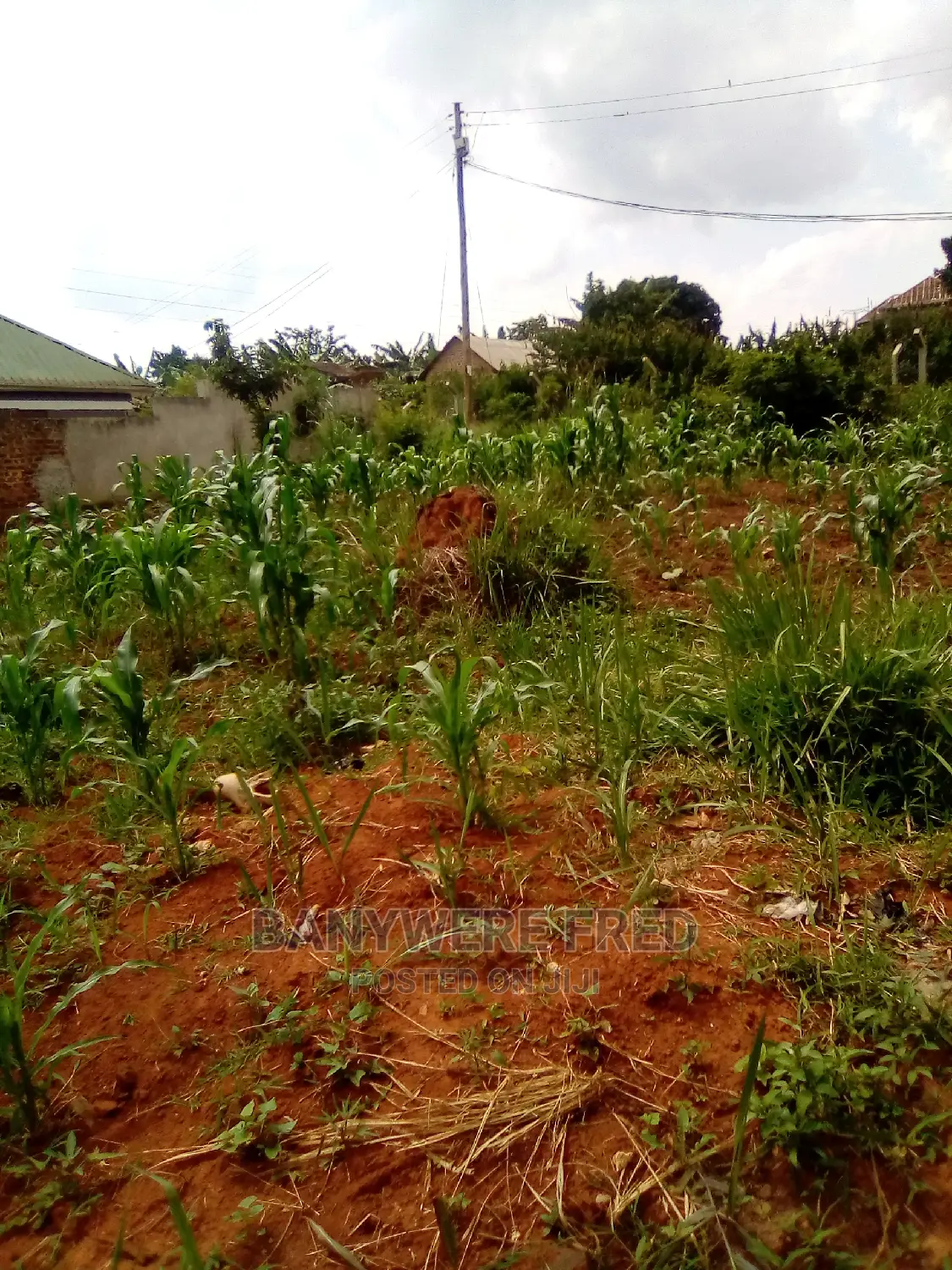 100x50ft Plot on Sale at Senge in Wakiso