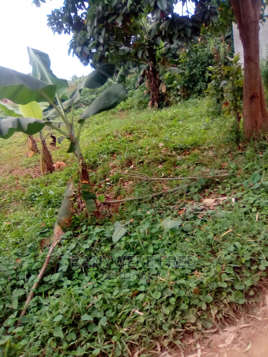 100x50ft at Senge Kawanda Rd in Wakiso