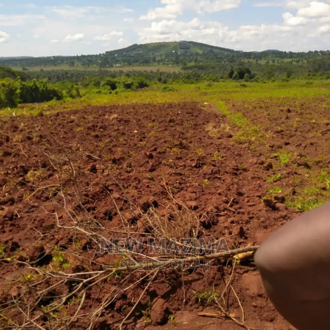 Four Acres on Forced Sale in Mpigi It Has Been on 40m to 31m in Mpigi / Mpigi