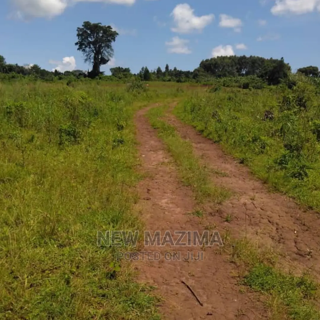 Four Acres on Forced Sale in Mpigi It Has Been on 40m to 31m in Mpigi / Mpigi