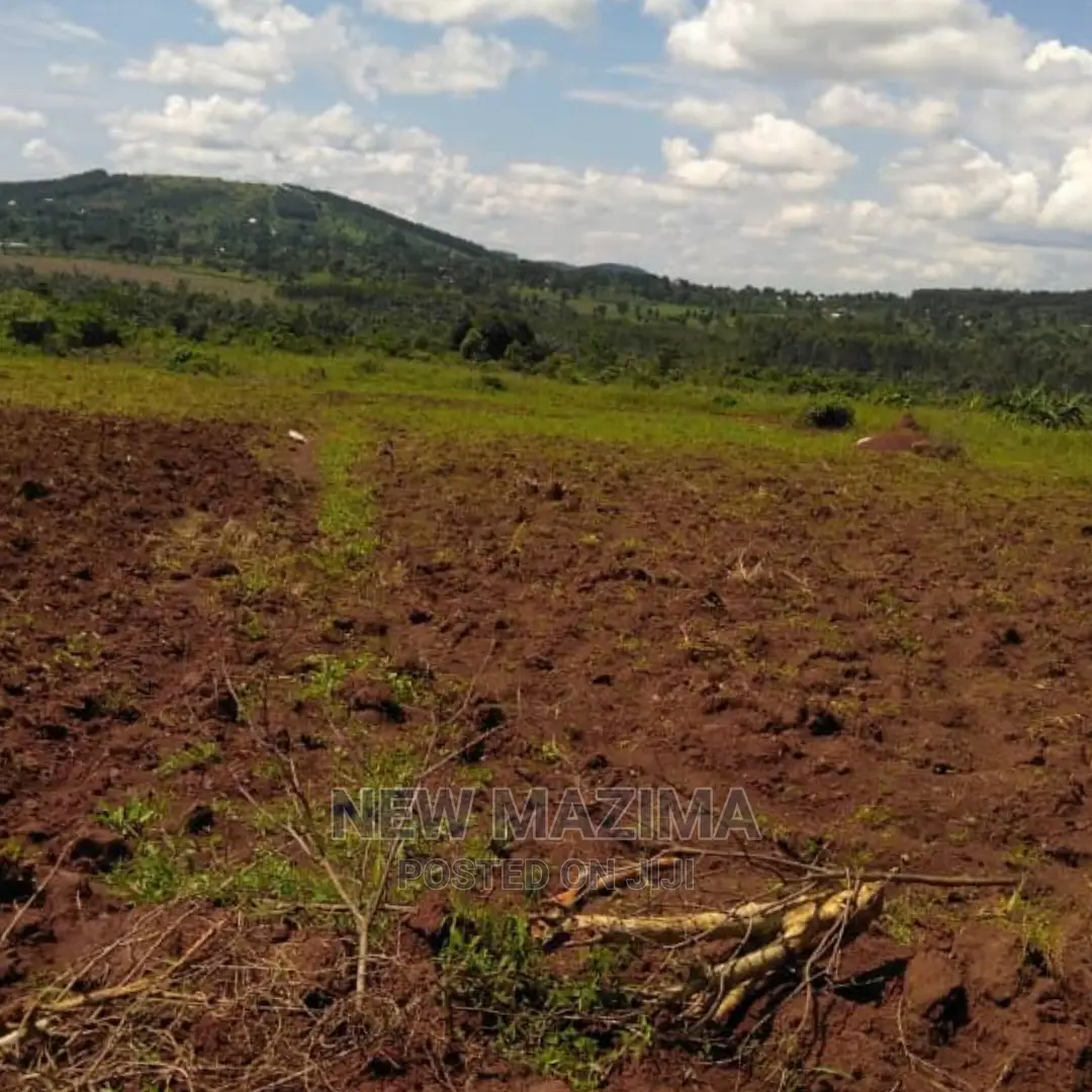 Four Acres on Forced Sale in Mpigi It Has Been on 40m to 31m in Mpigi / Mpigi