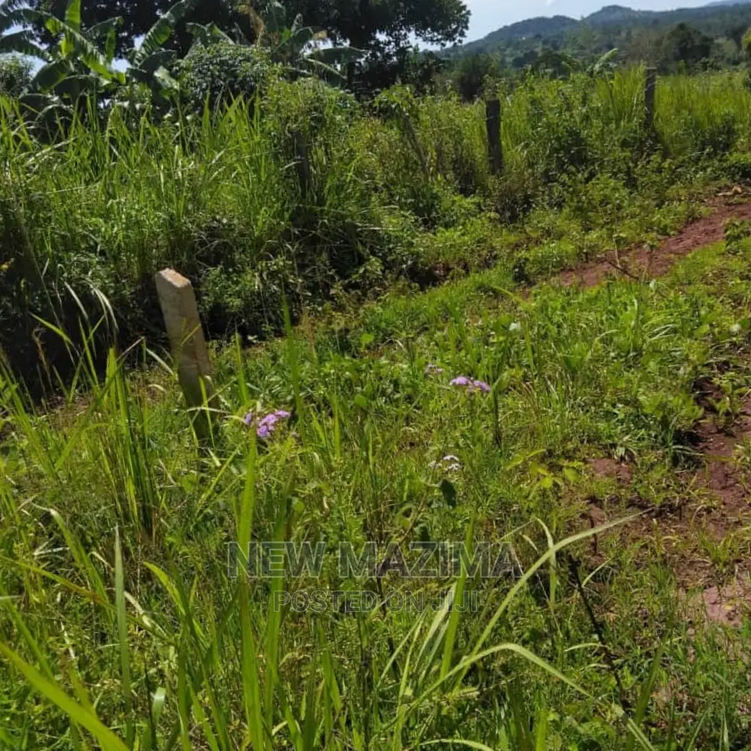 Four Acres on Forced Sale in Mpigi It Has Been on 40m to 31m in Mpigi / Mpigi