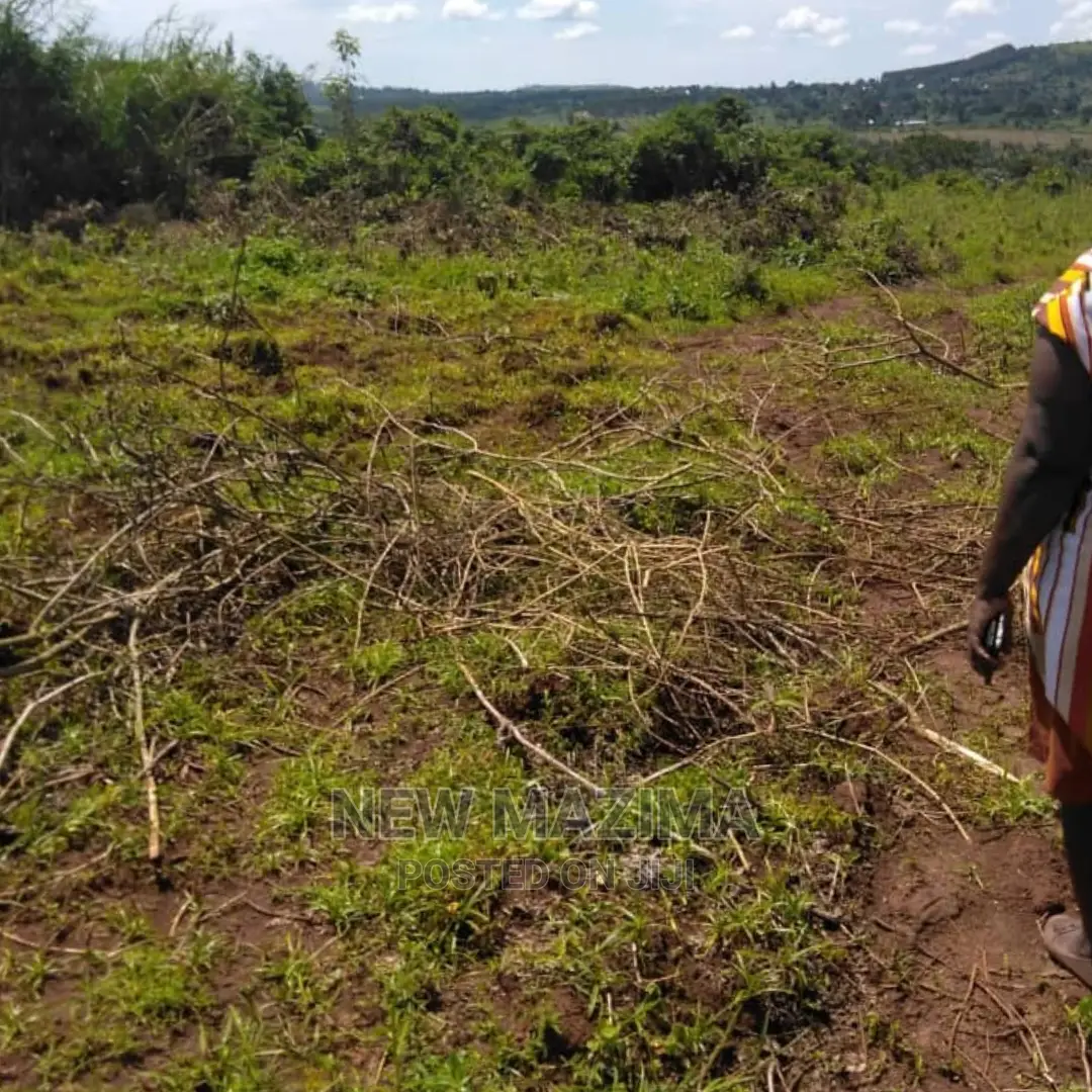 Four Acres on Forced Sale in Mpigi It Has Been on 40m to 31m in Mpigi / Mpigi