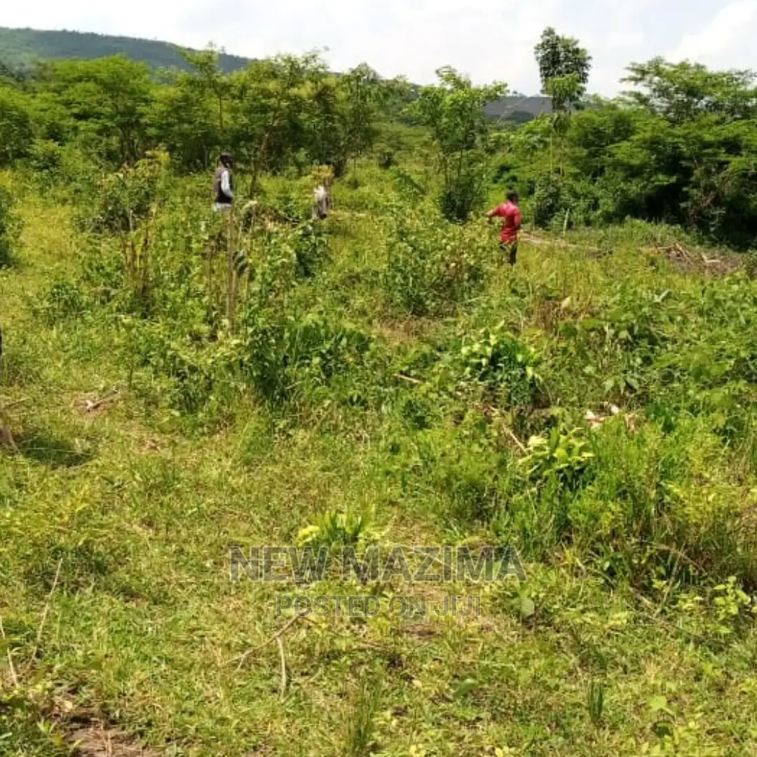 Very Fertile Five Acres on Quicksale in Nakaseke With Tittle in Luwero / Luwero