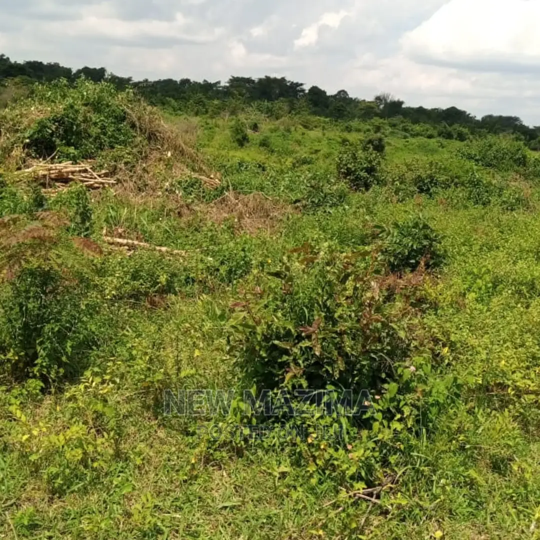 Very Fertile Five Acres on Quicksale in Nakaseke With Tittle in Luwero / Luwero