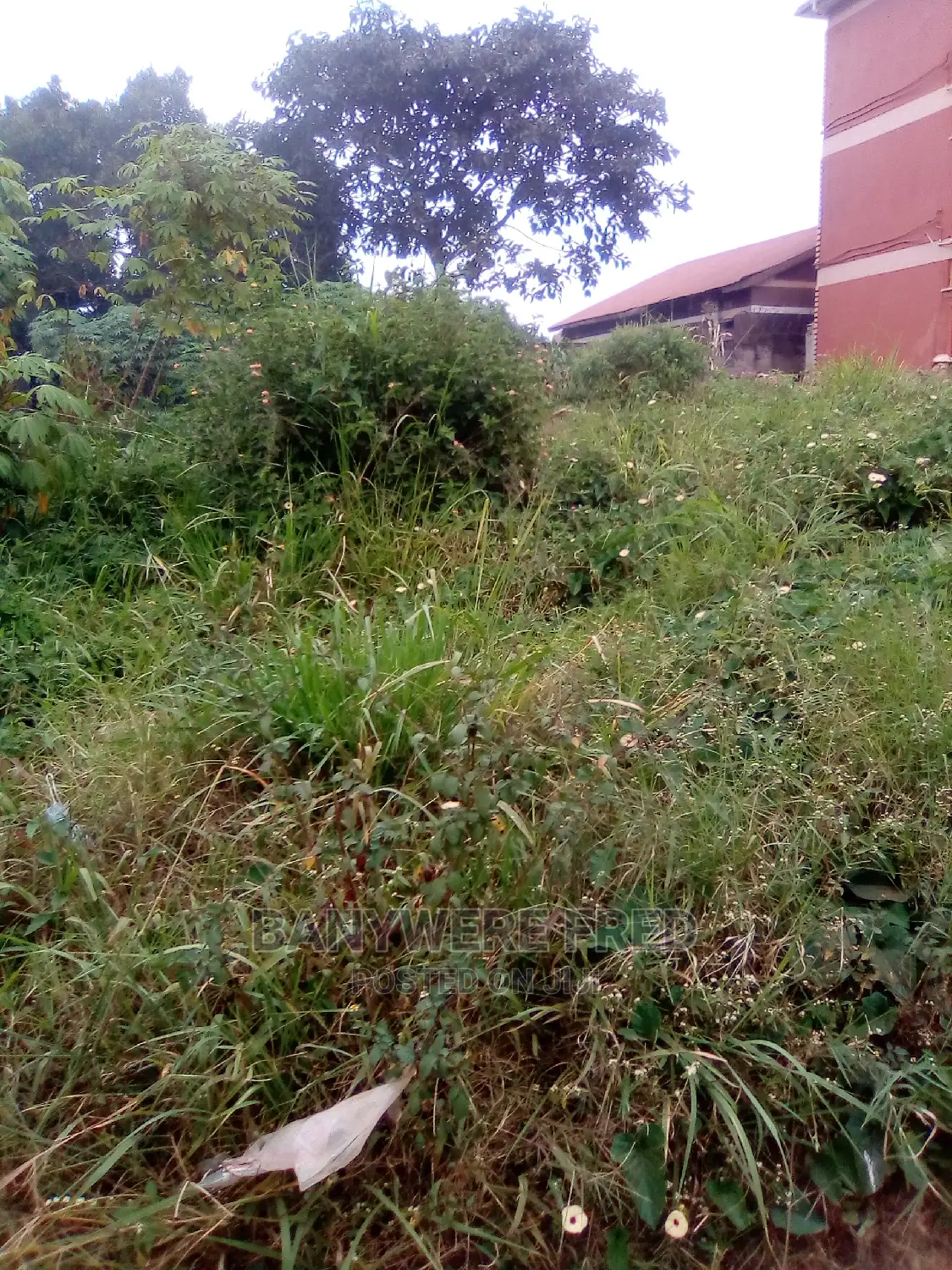 50/100 Plot for Sale in Mukono Nsanja Katosi Road in Mukono