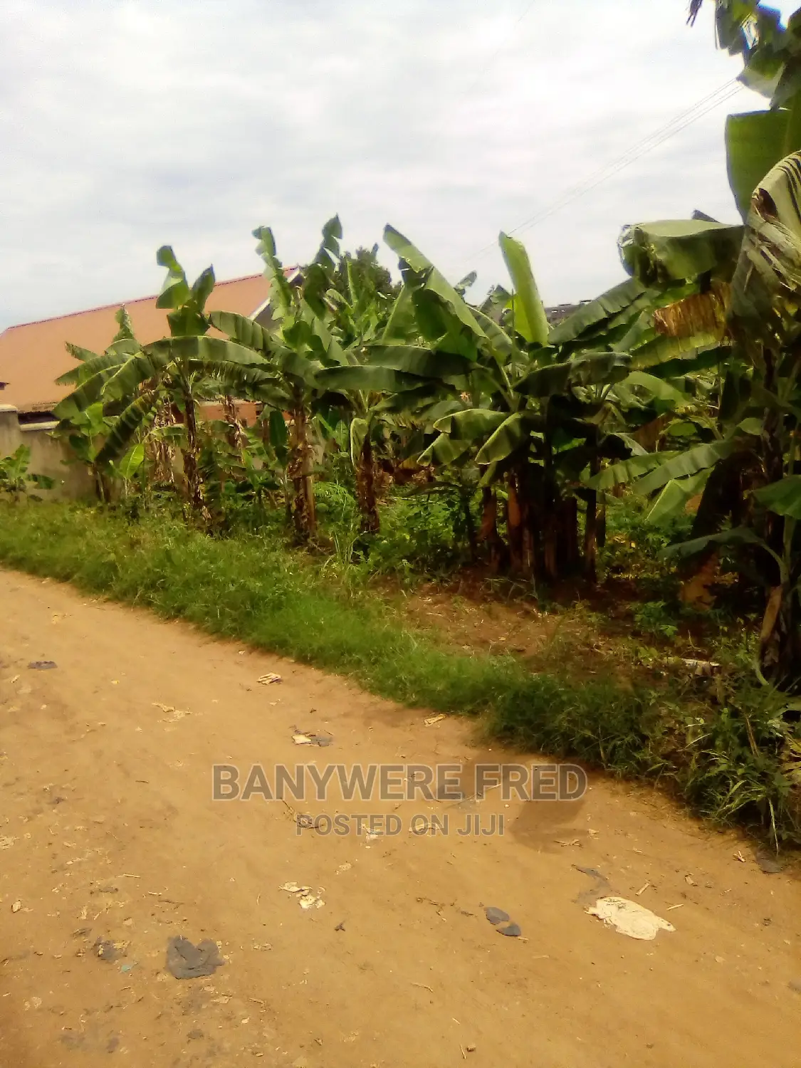 13acres Of Land For Sale In Kiyunga Kamuli District in Kamuli / Kakiri