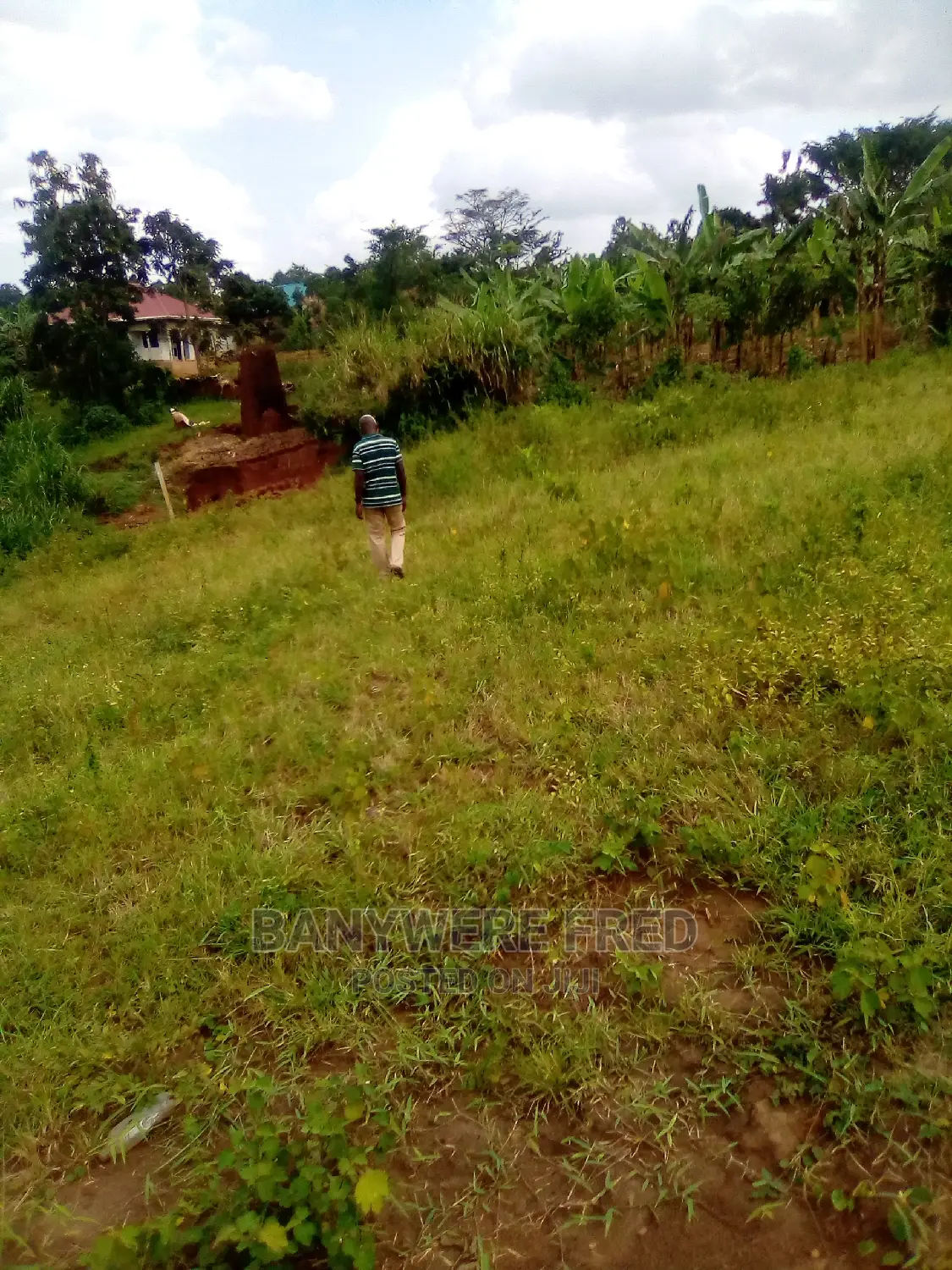 Plot for Sale in Bunyogoga Jogo 50/100 in Mukono