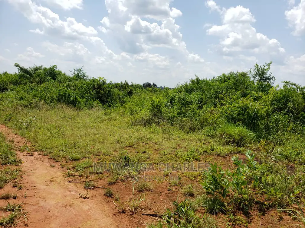 Plots Is Available for Sale Bombo Ndejje in Bombo TC