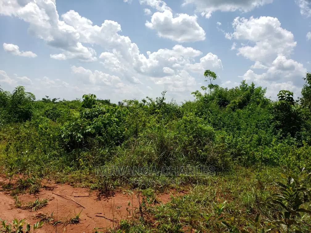 Plots Is Available for Sale Bombo Ndejje in Bombo TC