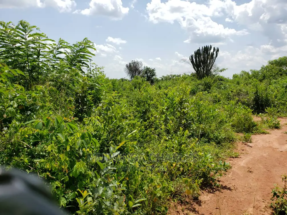 Plots Is Available for Sale Bombo Ndejje in Bombo TC