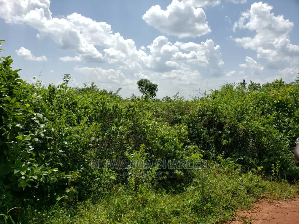 Plots Is Available for Sale Bombo Ndejje in Bombo TC