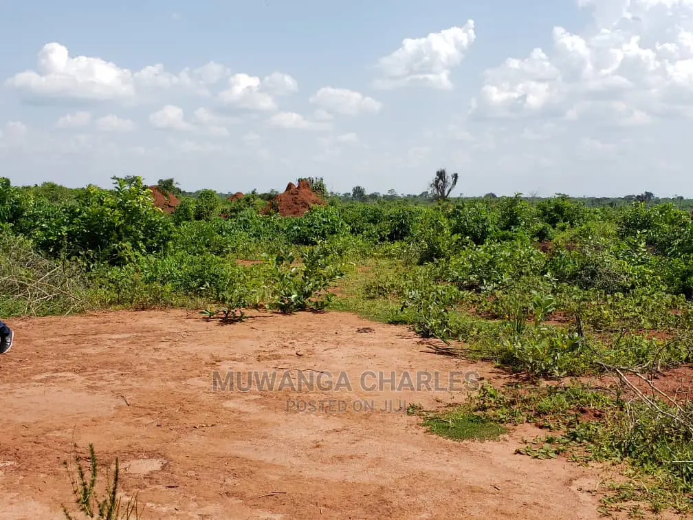 Plots Is Available for Sale Bombo Ndejje in Bombo TC