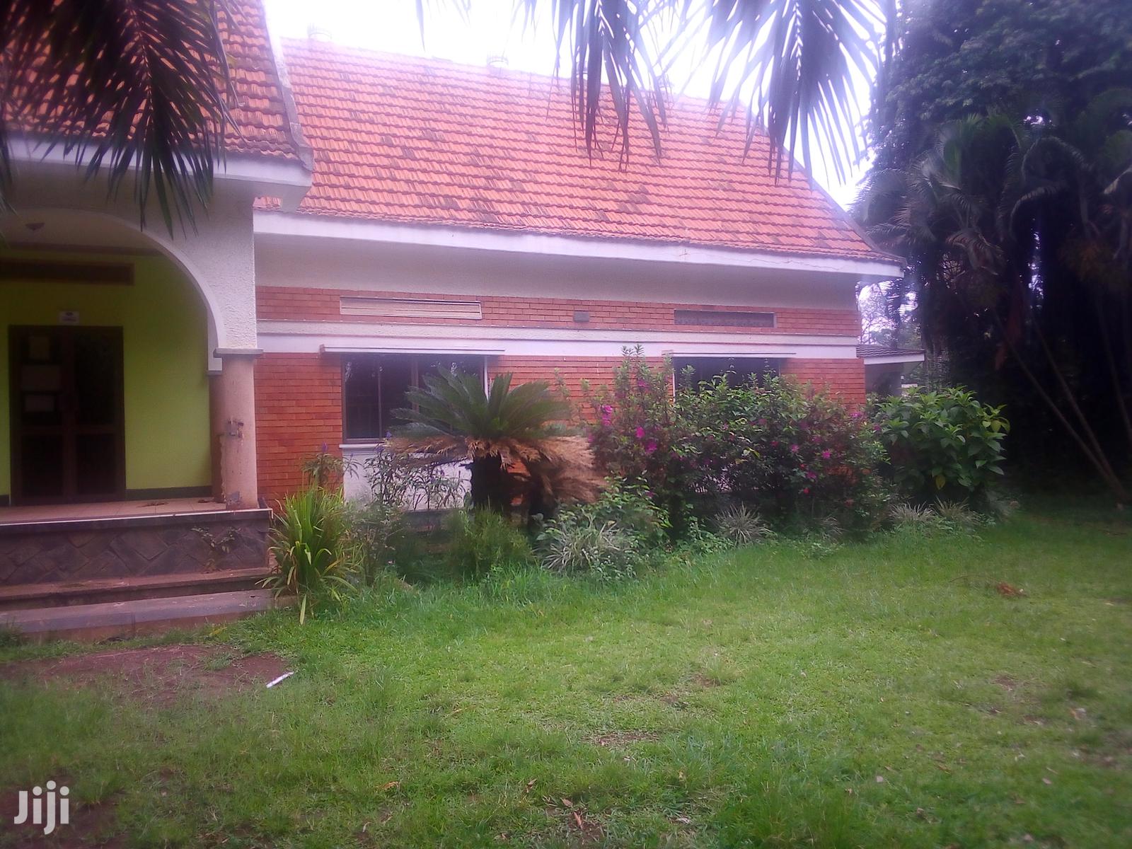 Three Bedroom House In Kololo For Rent in Kampala