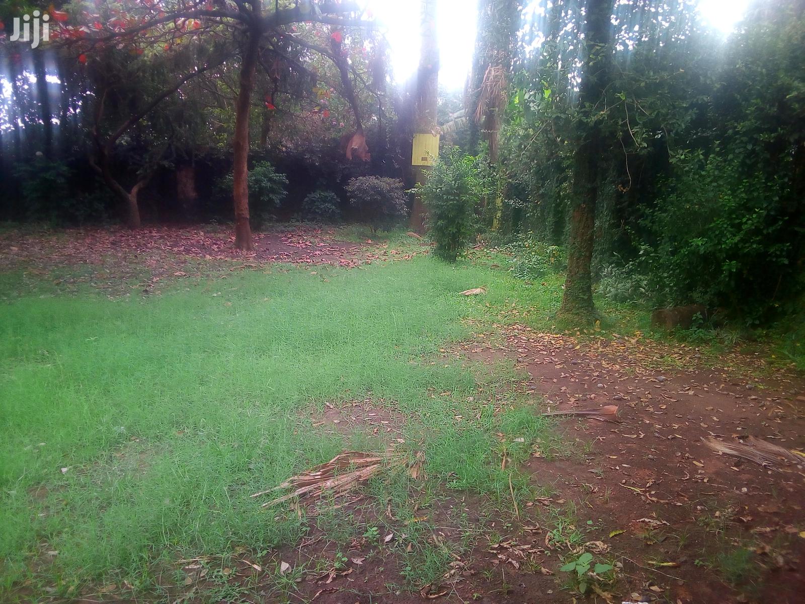 Three Bedroom House In Kololo For Rent in Kampala