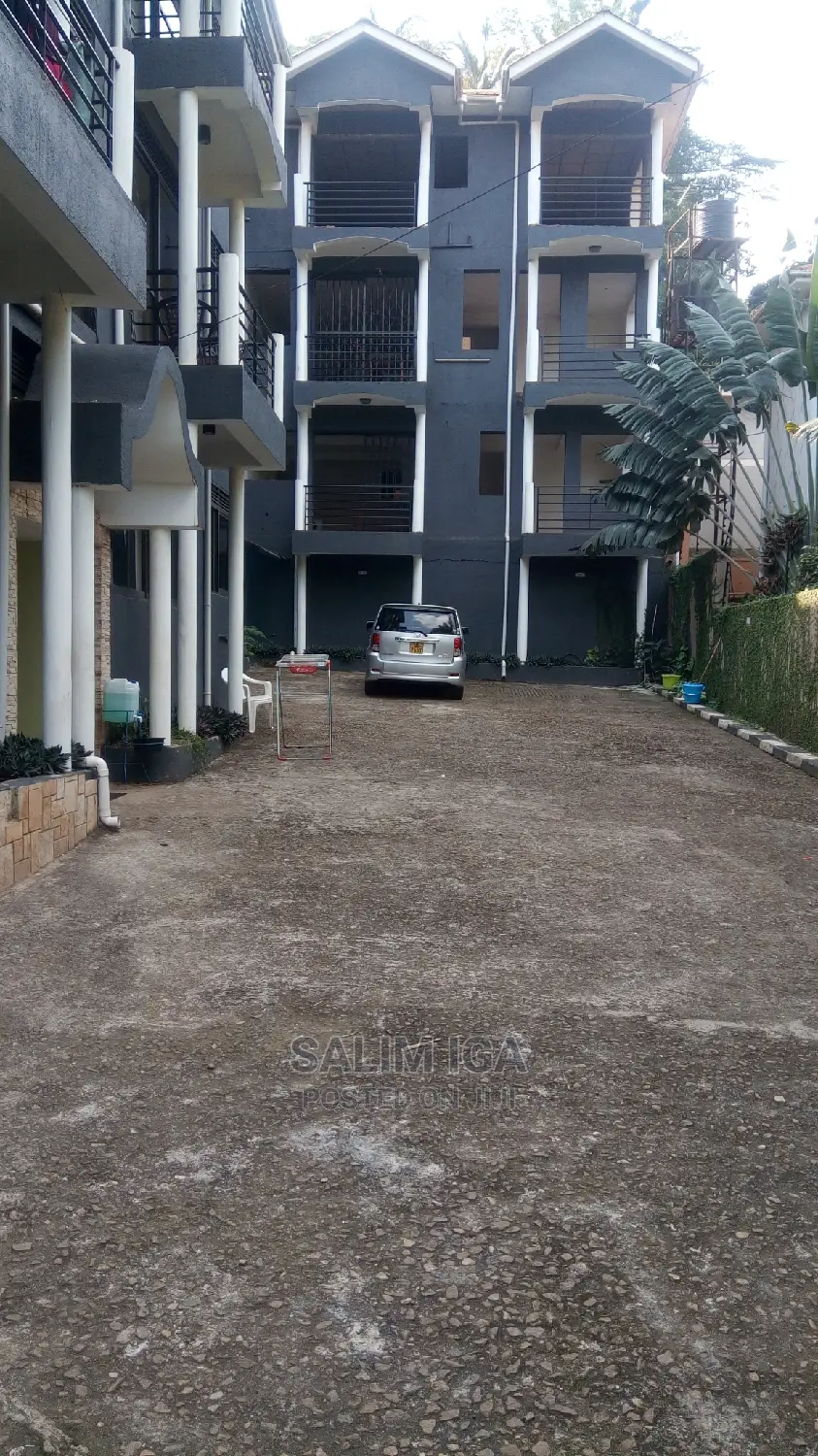 Furnished 2bdrm Block of Flats in Kololo Property, Kampala for Rent in Kampala