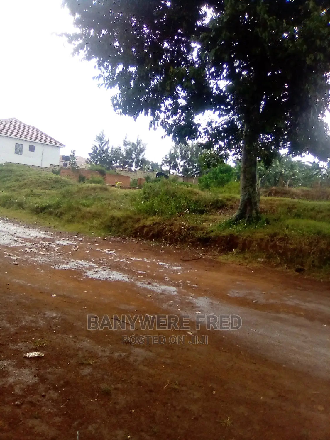 50/100 Plot for Sale in Kayunga Senge Wakiso in Wakiso