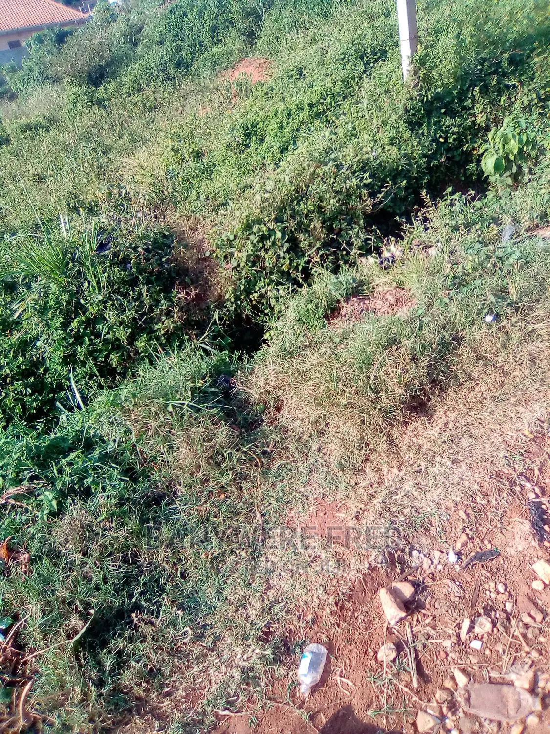 Katwe Kisoga Road in Mukono 50/100 Plot for Sale in Mukono
