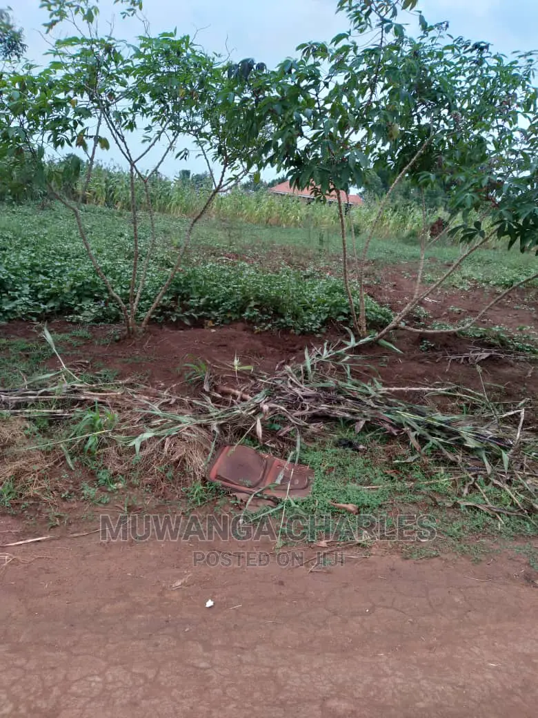 2acre's of Is Available for Sale in Namulonge in Wakiso