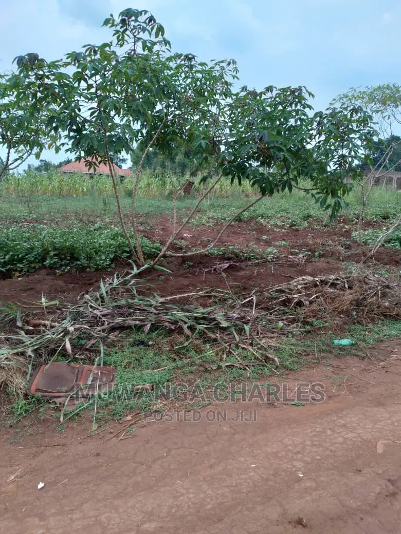 2acre's of Is Available for Sale in Namulonge in Wakiso