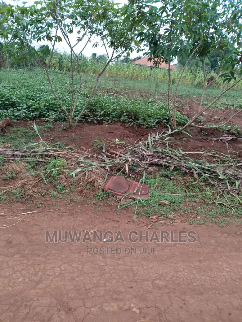 2acre's of Is Available for Sale in Namulonge in Wakiso