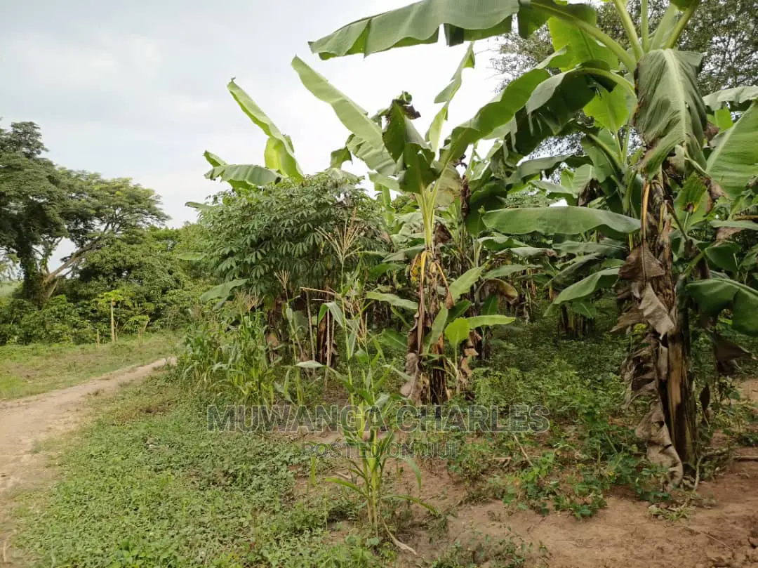 10acre's Is Available for Sale in Busika in Luwero / Luwero