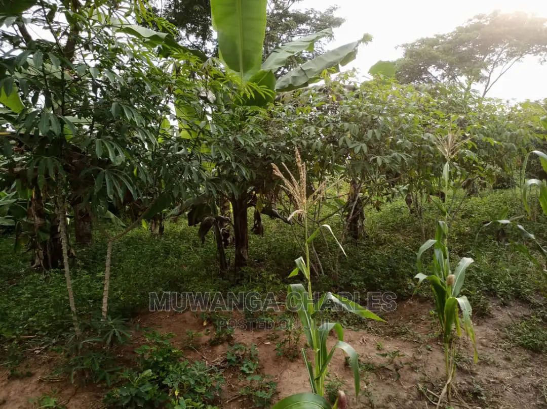 10acre's Is Available for Sale in Busika in Luwero / Luwero