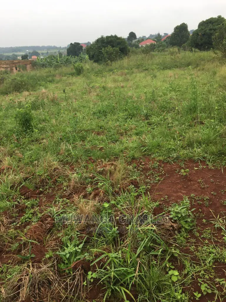 Plots Is Available for Sale in Gayaza in Wakiso