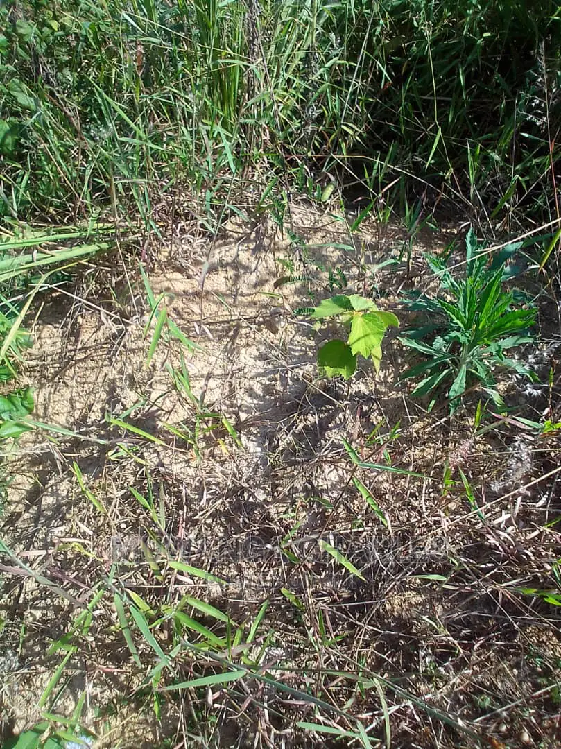 Plots Is Available for Sale in Mukono in Mukono