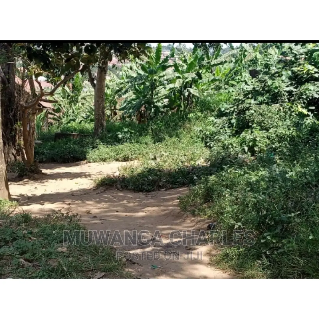Plots Is Available for Sale in Mukono in Mukono