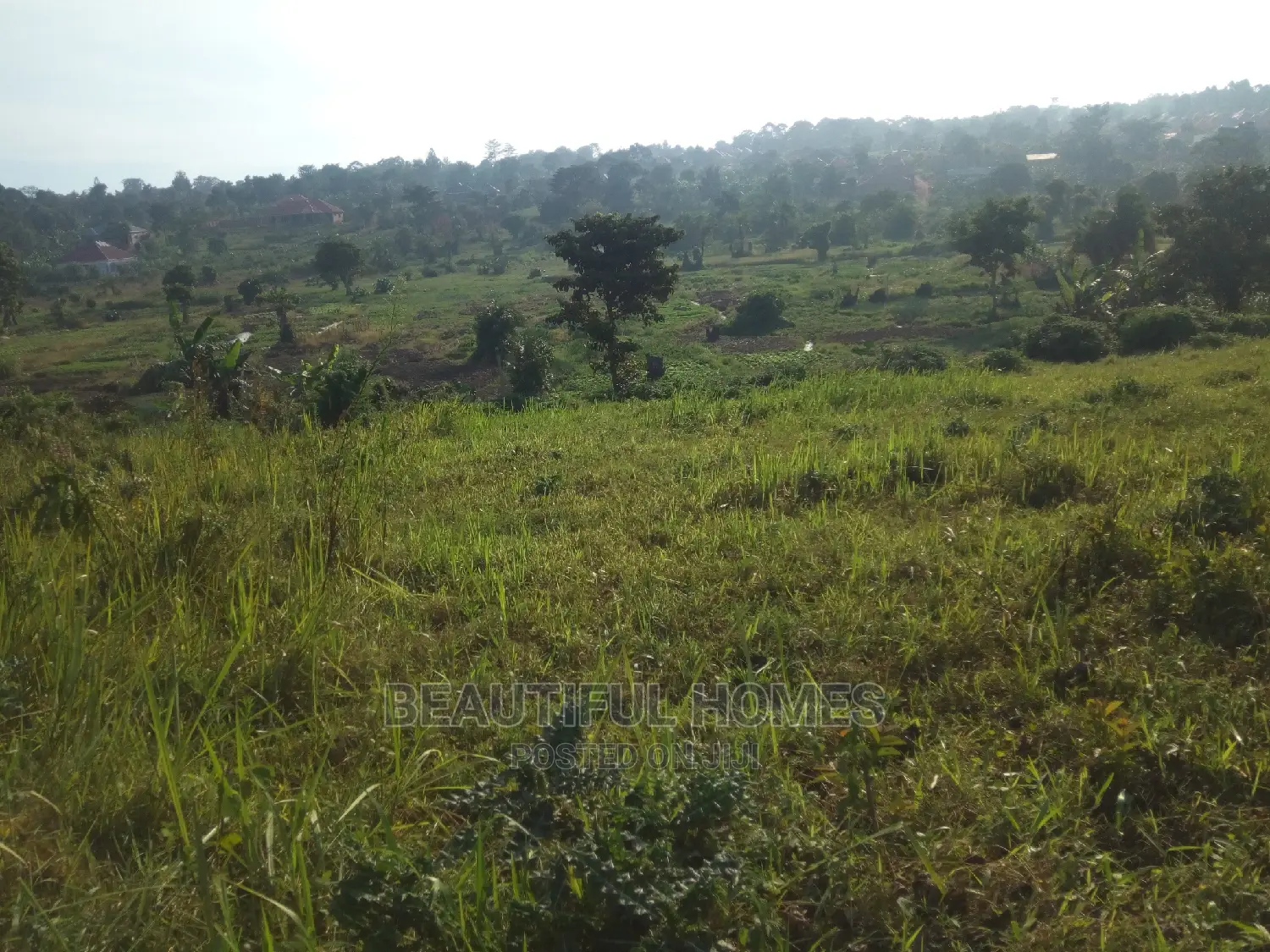 Nakwero Gayaza 25 Decimals on Sale in Kampala
