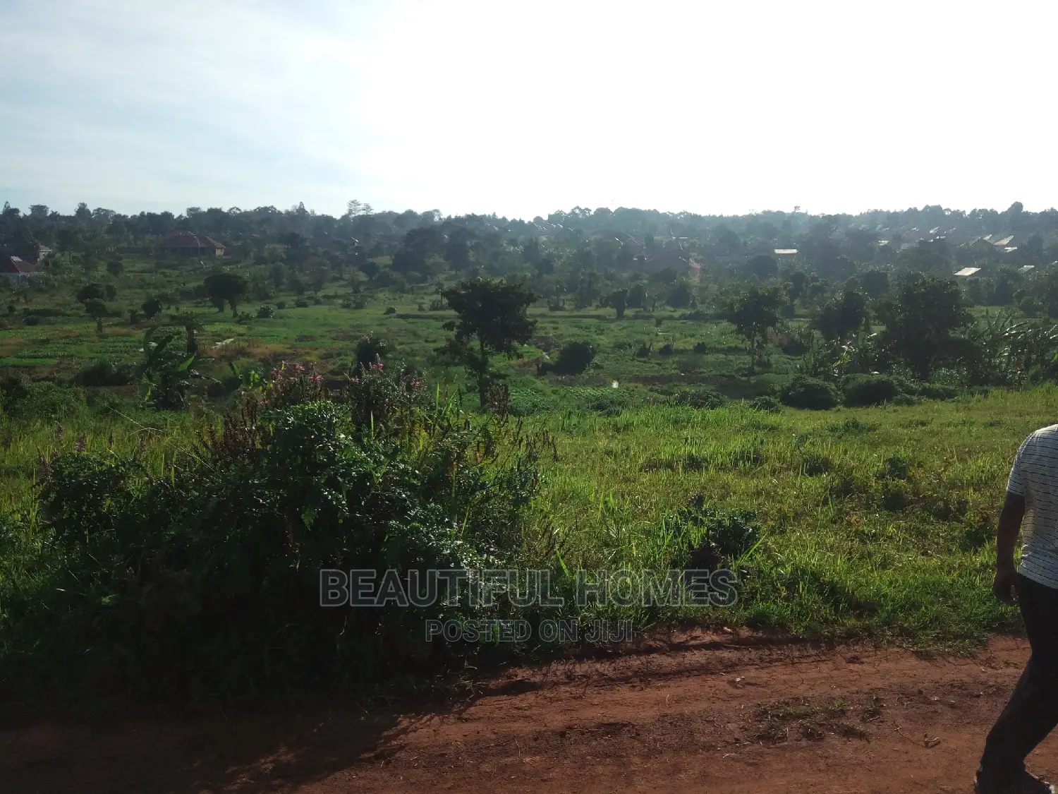 Nakwero Gayaza 25 Decimals on Sale in Kampala